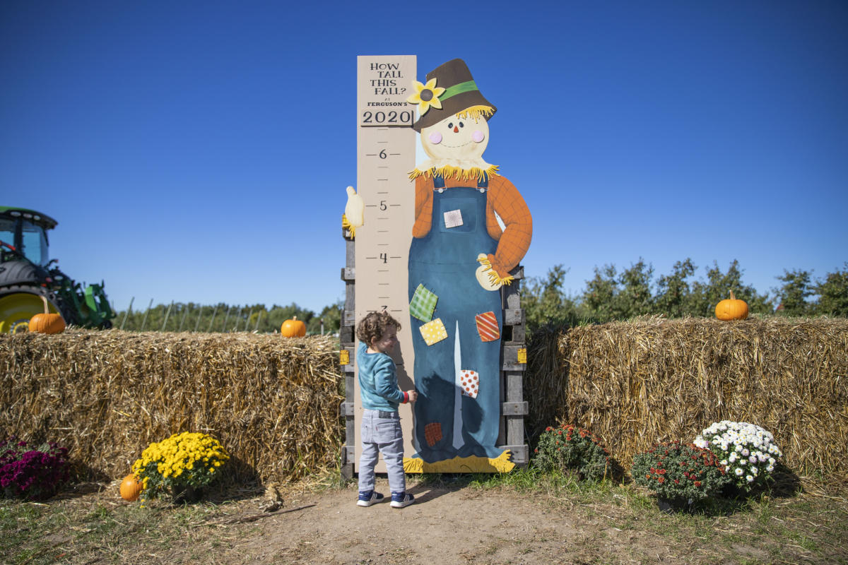 Boy by scarecrow growth chart at Ferguson's Orchard