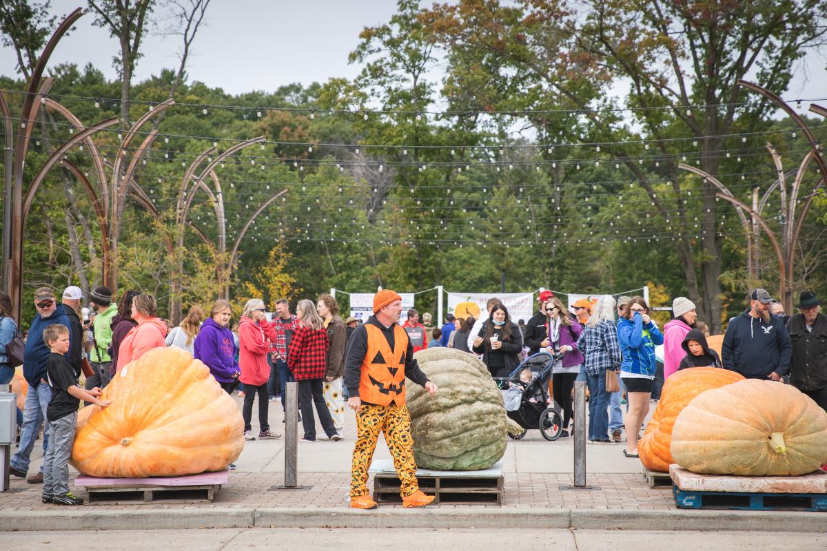 People looking at the giant pumpkins at River Prairie's Ginormous Pumpkin Festival