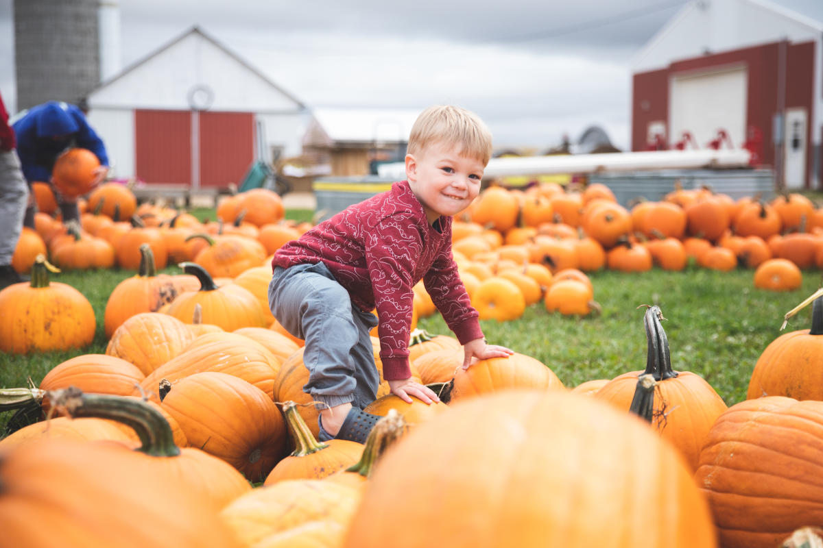 Govin's Farm Halloween