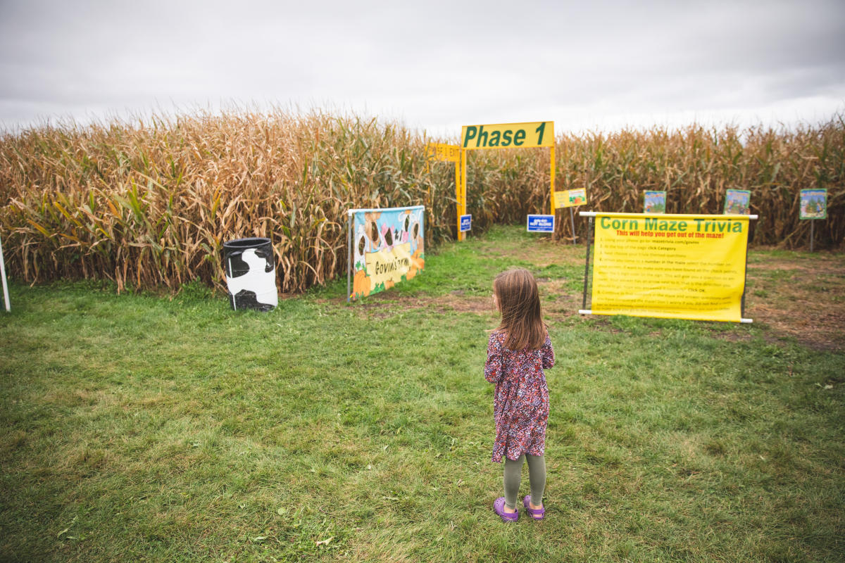 A young girl about to enter the corn maze at Govin's