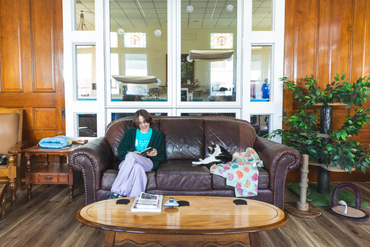A girl sitting on a couch reading a book next to a cat at the cat cafe
