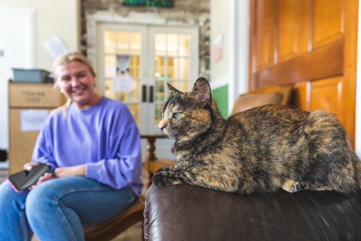 A cat sitting on the couch with a girl