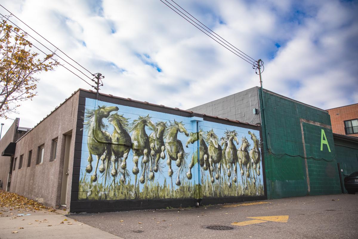 Mural of green horses contrasted in a blue background on Water St.