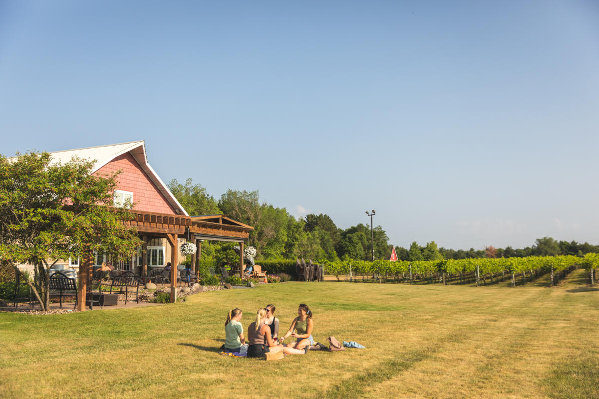 A group of four women enjoying a picnic outside at Riverbend Winery in the Town of Wheaton