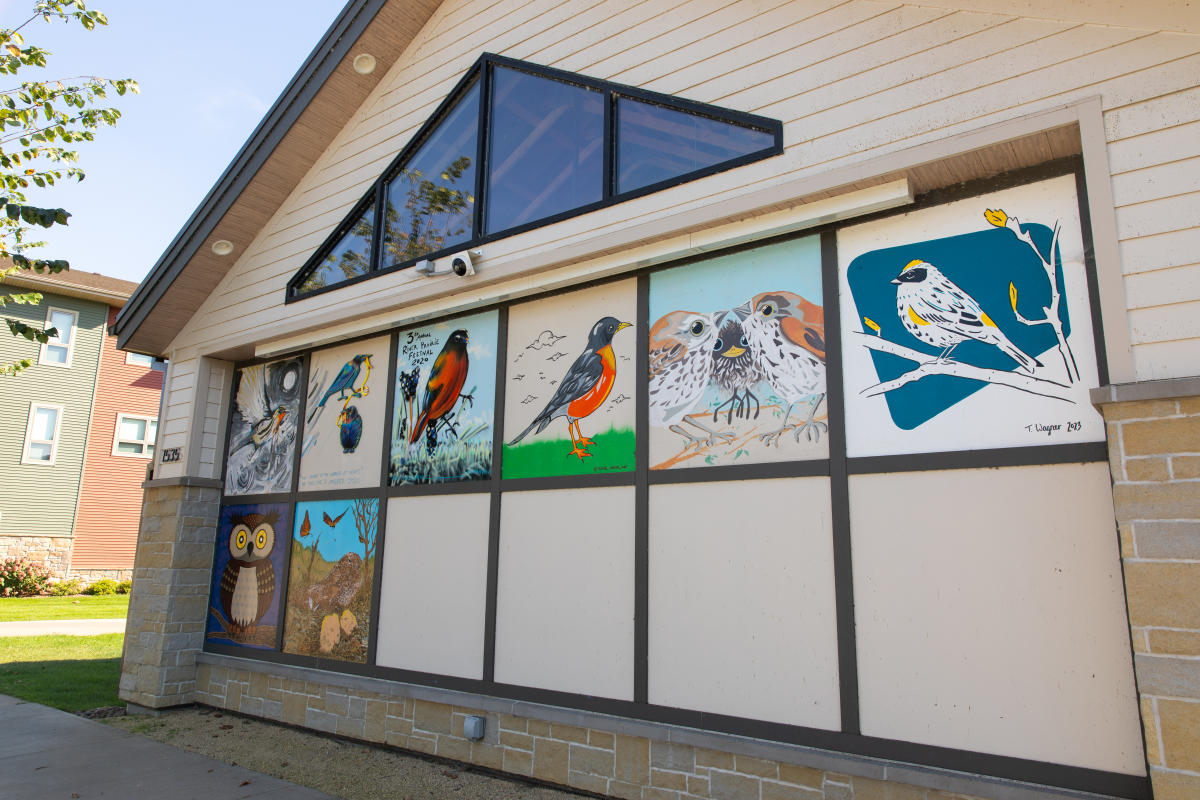 A varitey of square murals, all bird themed, in River Prairie