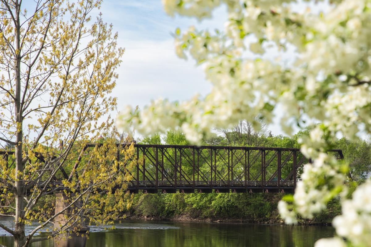 Phoenix Park Bridge in downtown Eau Claire during the spring with trees blooming