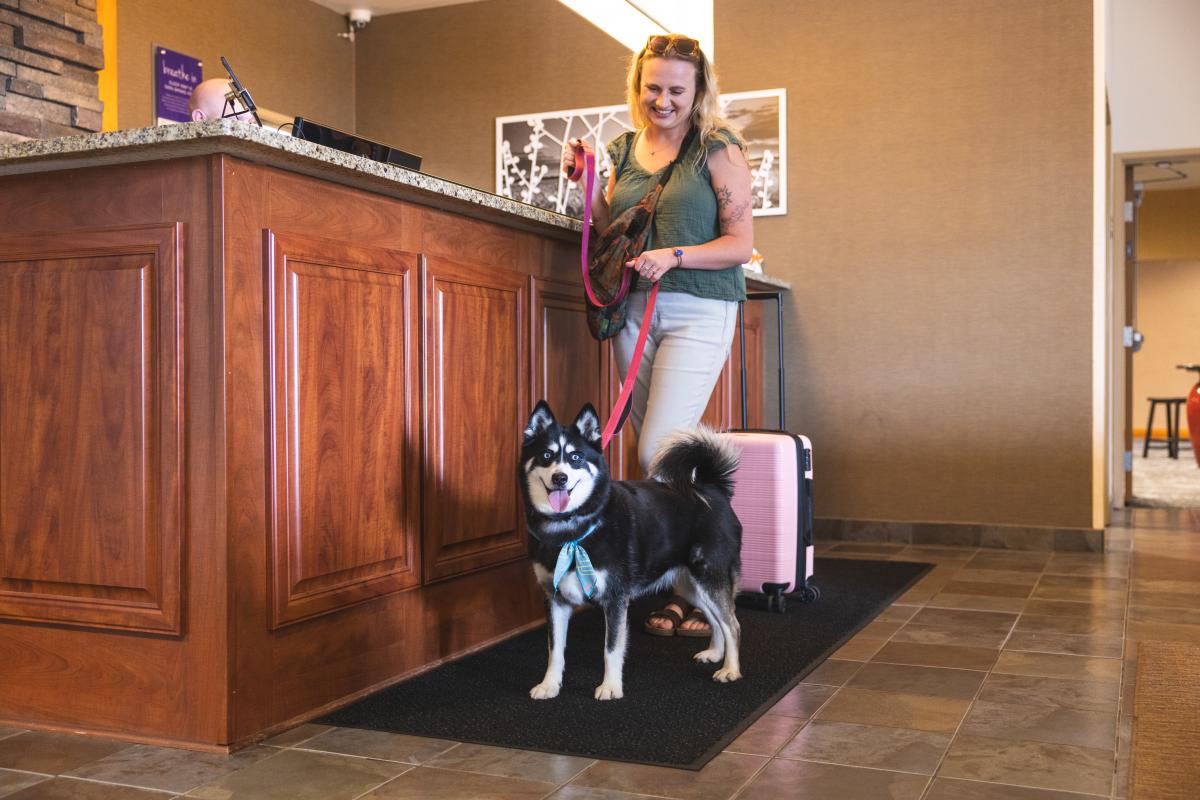 A woman and dog checking in at the front desk at Sleep Inn & Suites