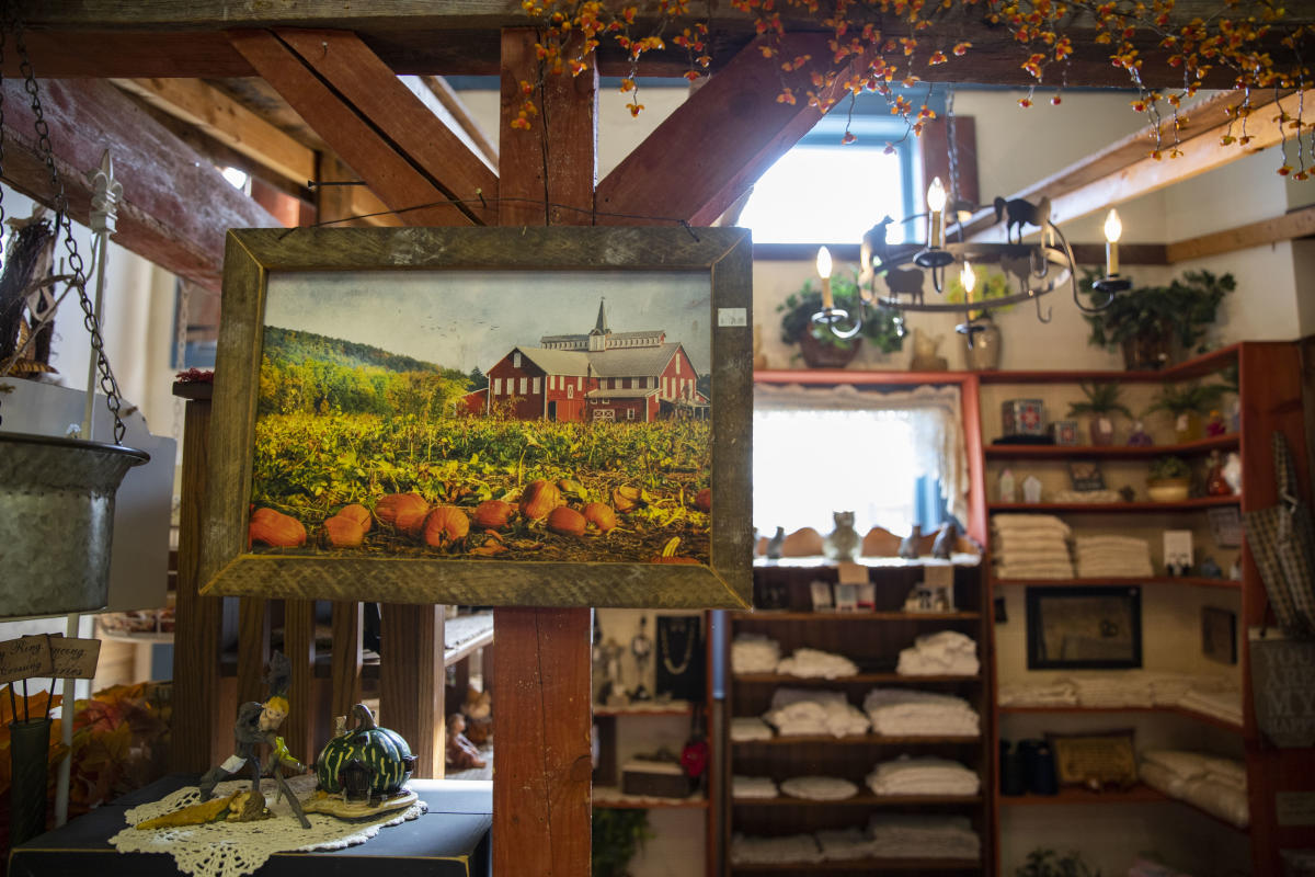 A photo of a fall pumpkin painting at the Wood Shed in Augusta, WI
