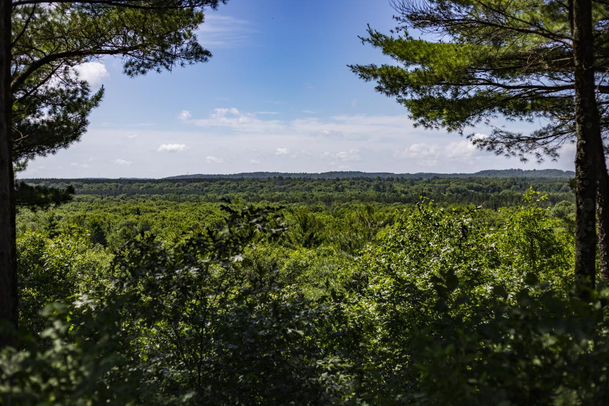 Views from Tower Ridge in the summer