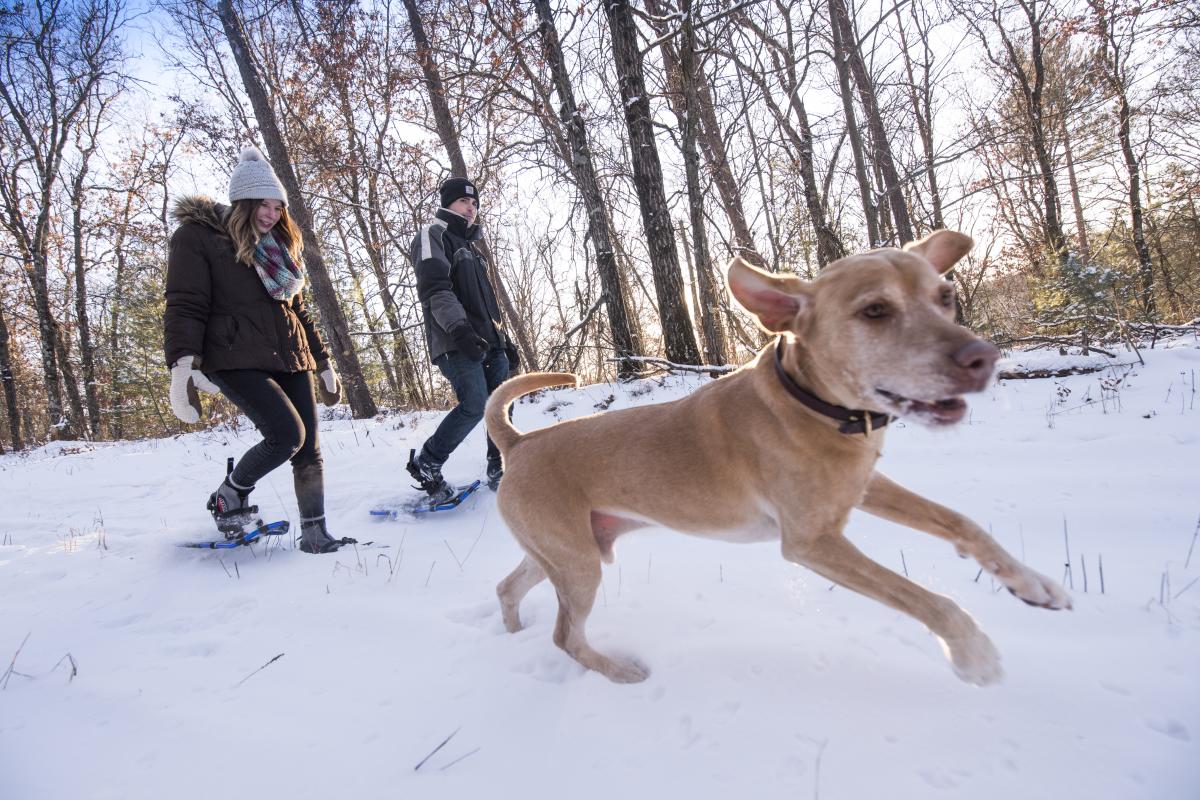 Couple snowshoeing with dog