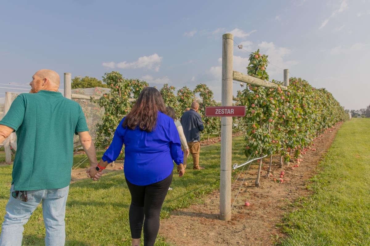A family walking into the Zesty apple trees at Ferguson's Orchards