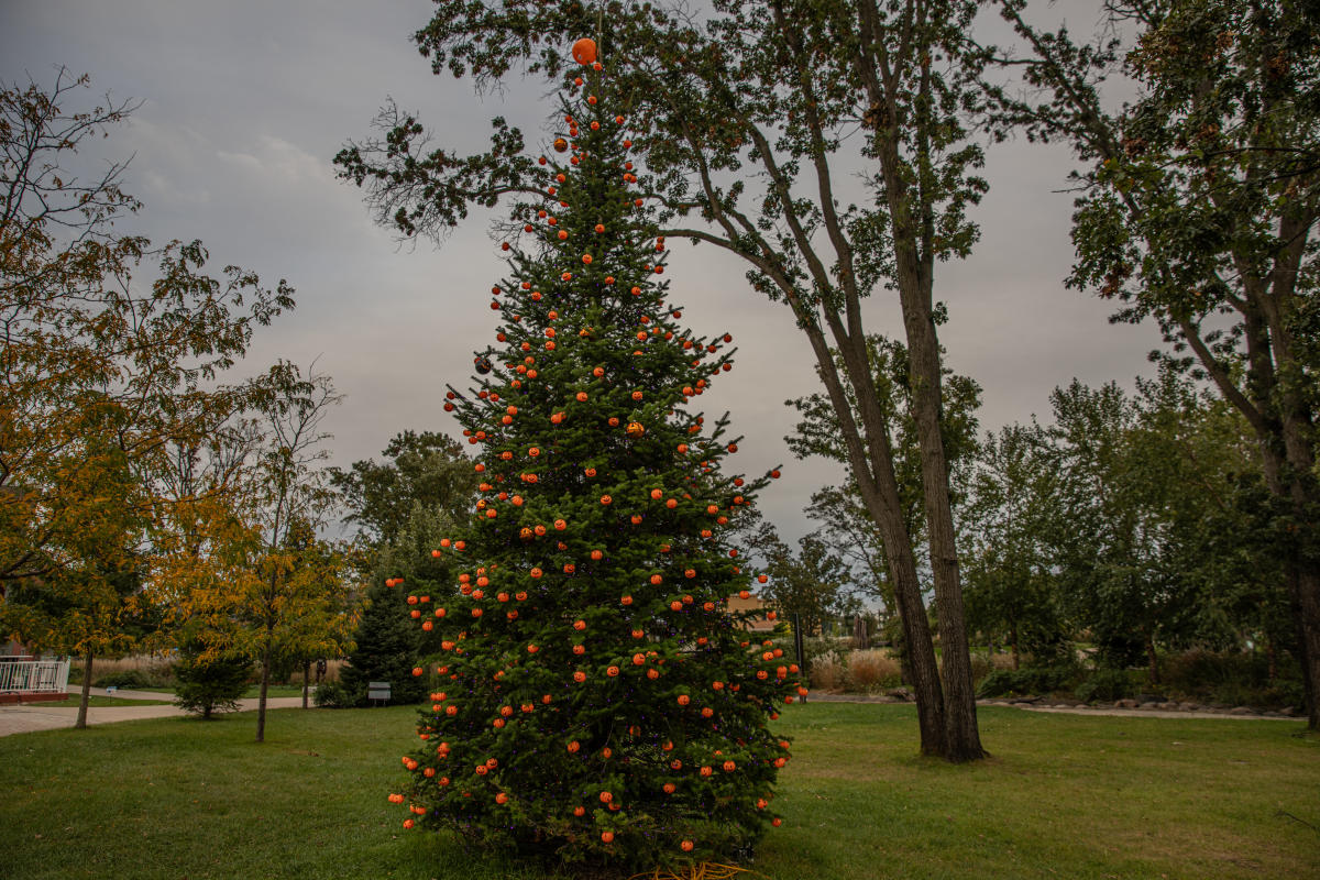 Scary Prairie Pumpkin Tree