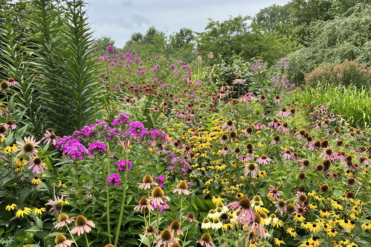 flowers at the arboretum at pritchard community center
