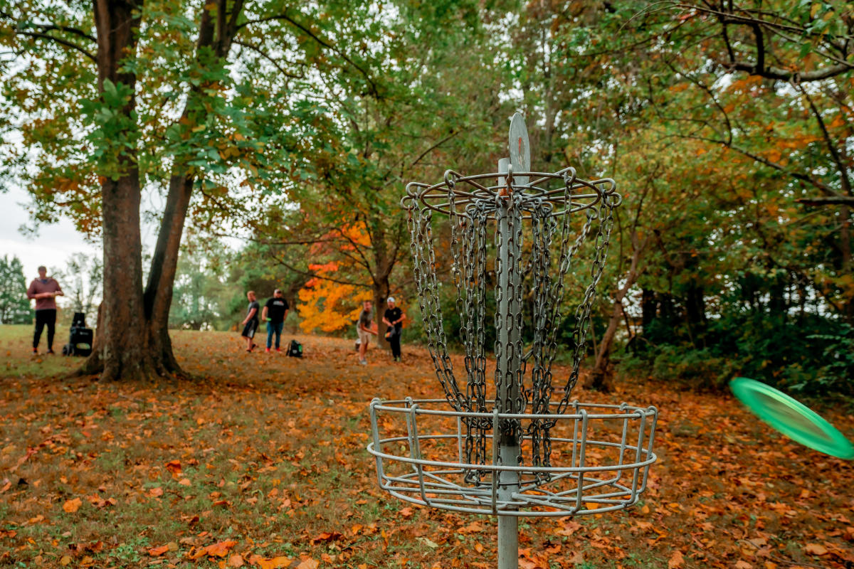 disc bouncing off basket at freeman lake
