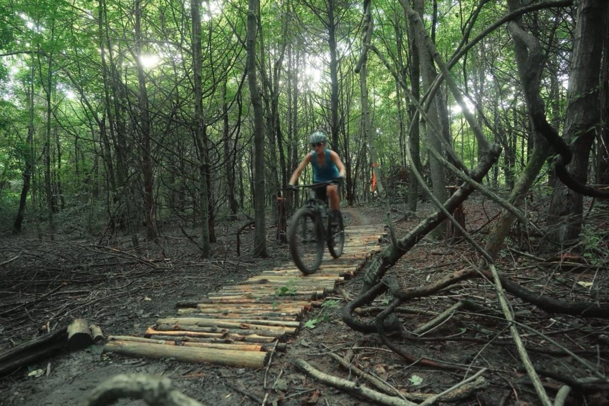 A mountain biker riding on a wooden bridge through a dense, green forest trail.