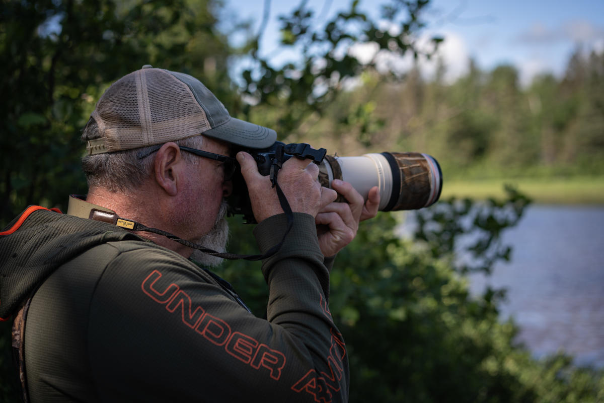 Wildlife Photography
