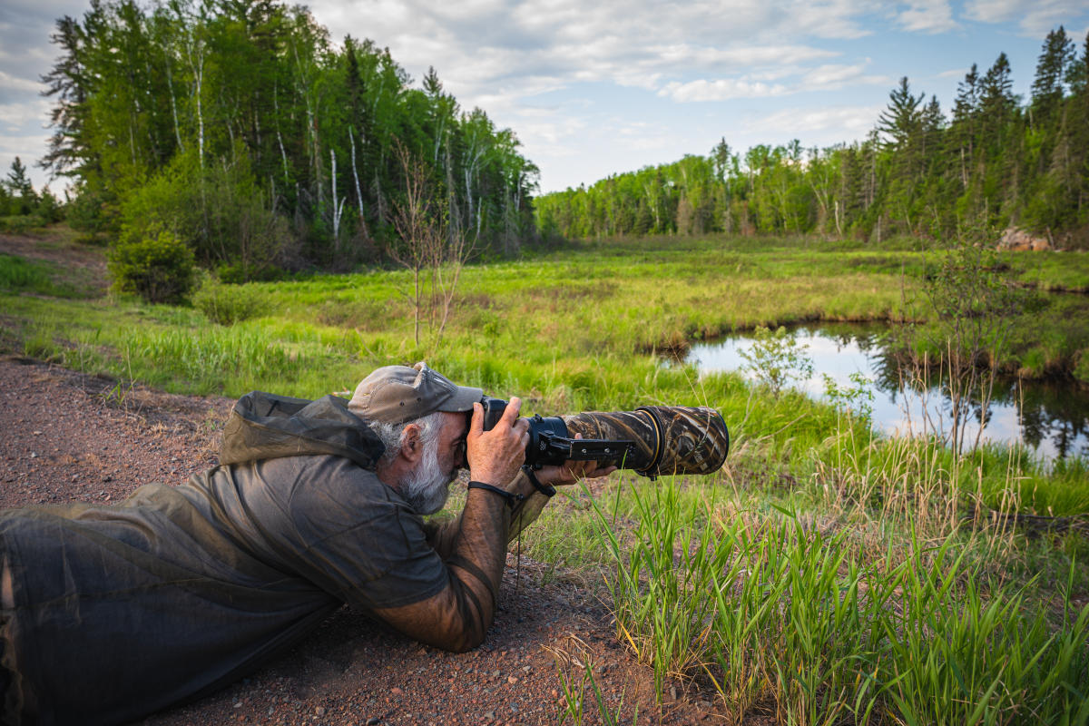 Wildlife Photography