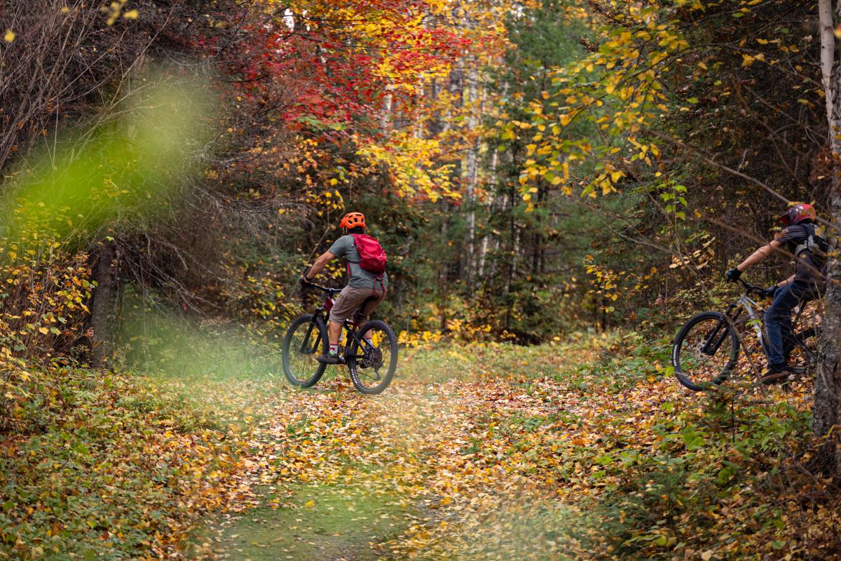 Fall Biking Trail With Leaves