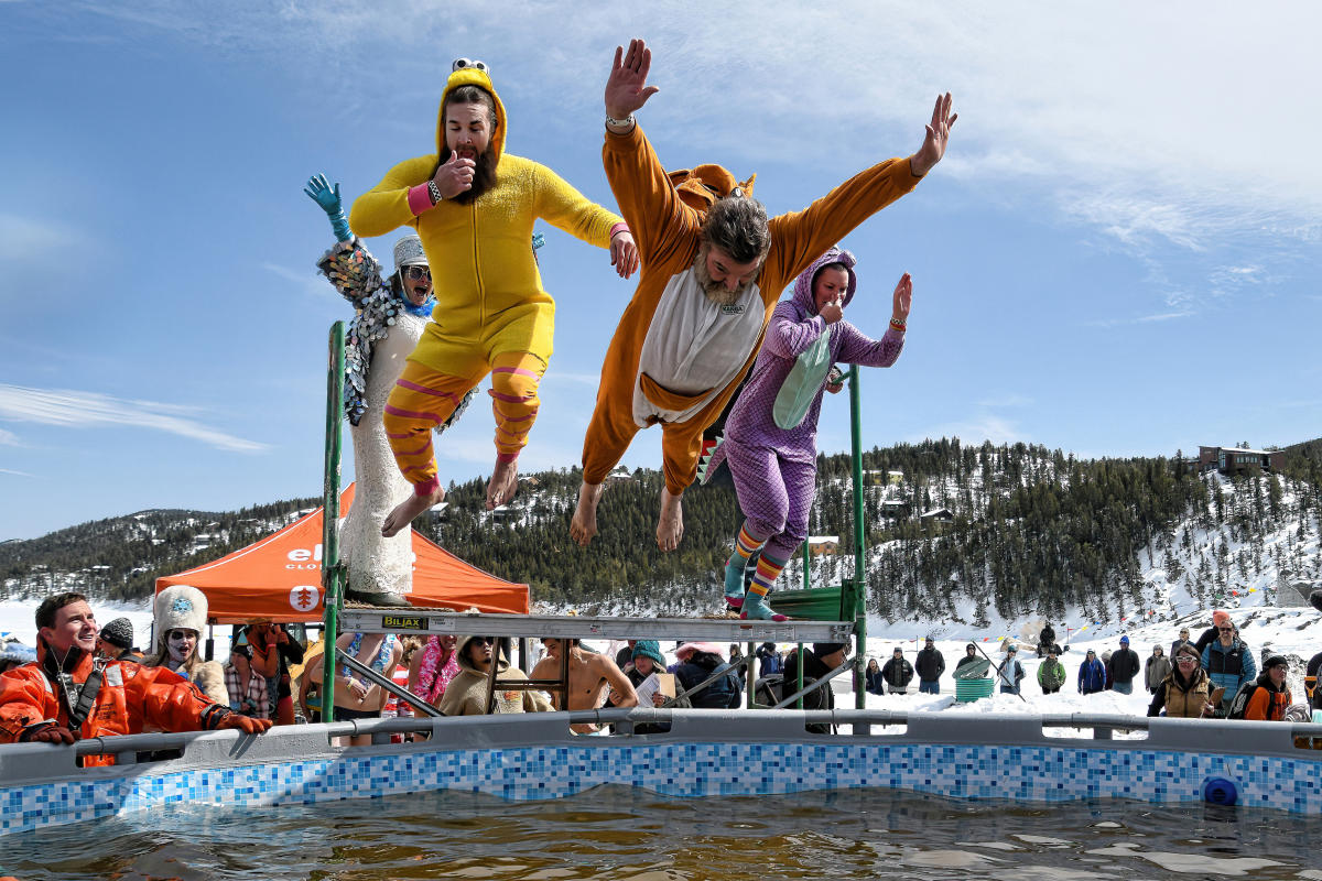 Nederland FDGD polar plunge
