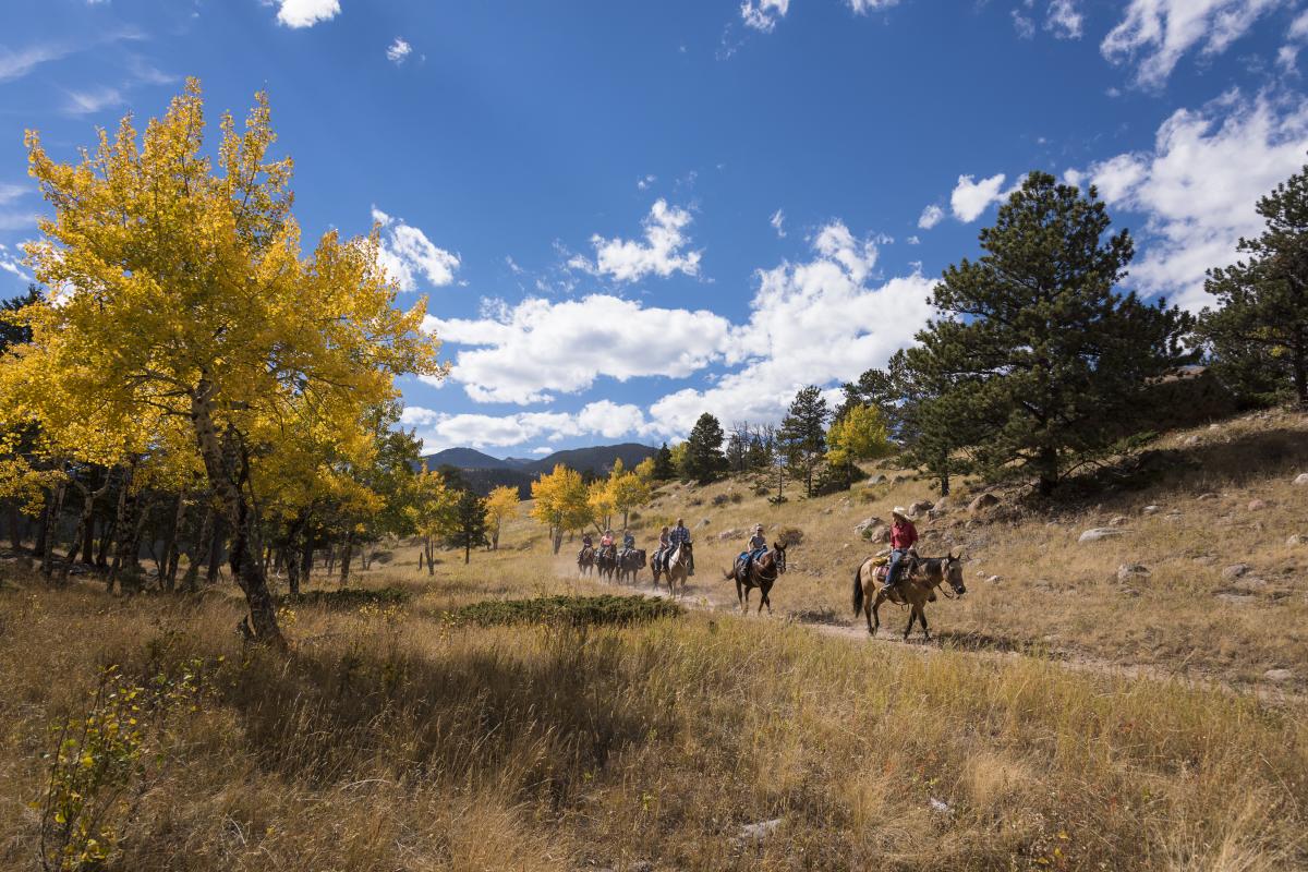 Horseback