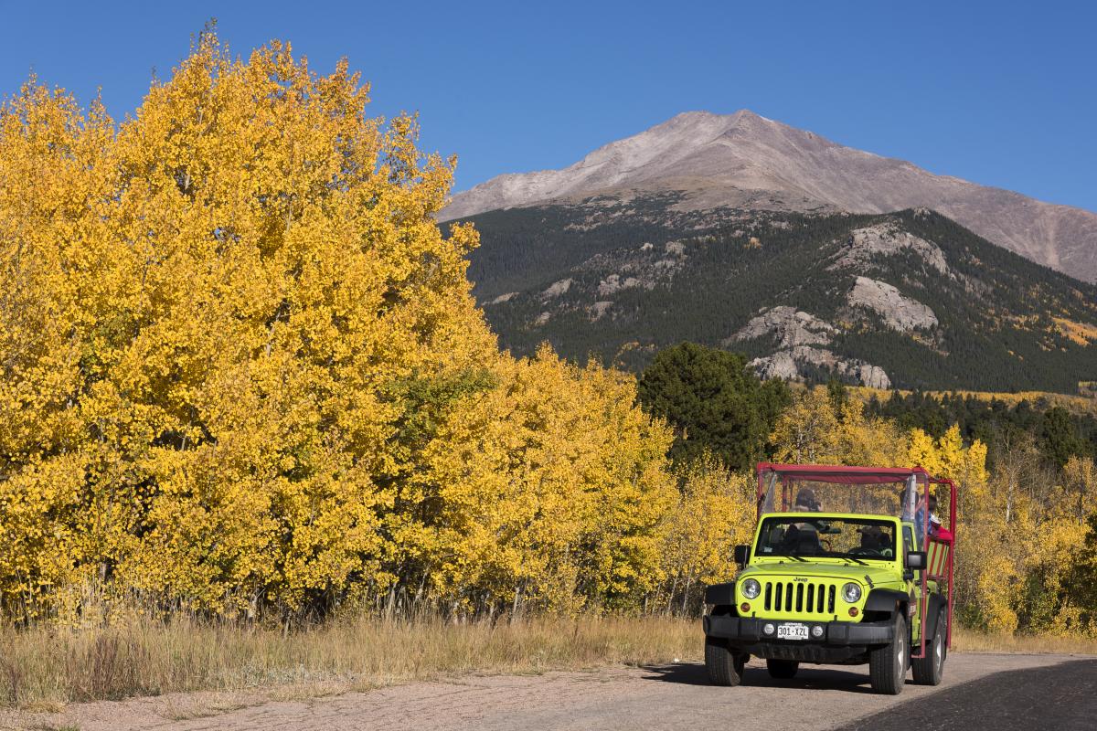 Take a private, guided tour in Estes Park