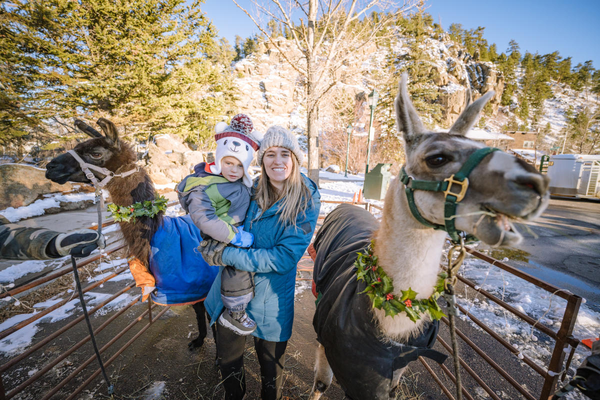 llamas