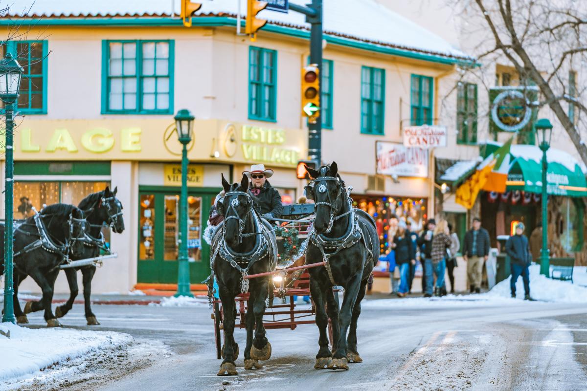 Tree Lighting Horses