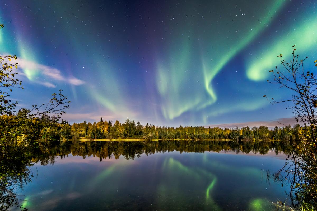 Aurora borealis over a forest and lake in Fairbanks Alaska with colorful reflections.