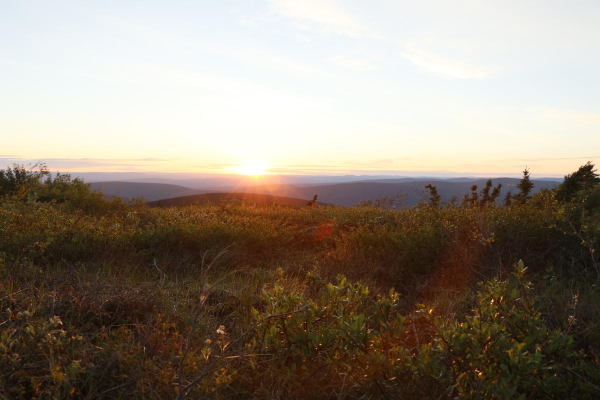 A setting midnight sun with rolling hills in the background