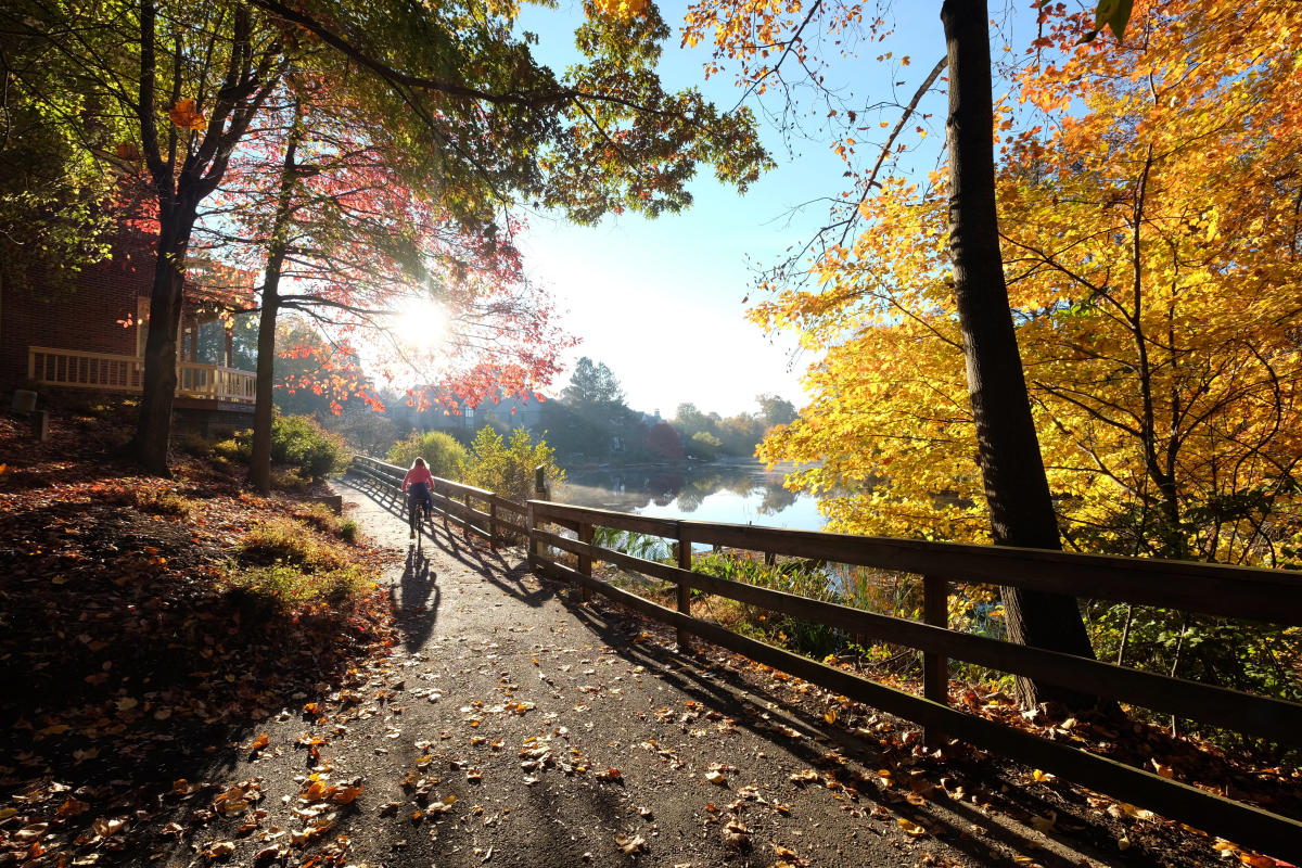 Biker circling foliage surrounded lake in Reston