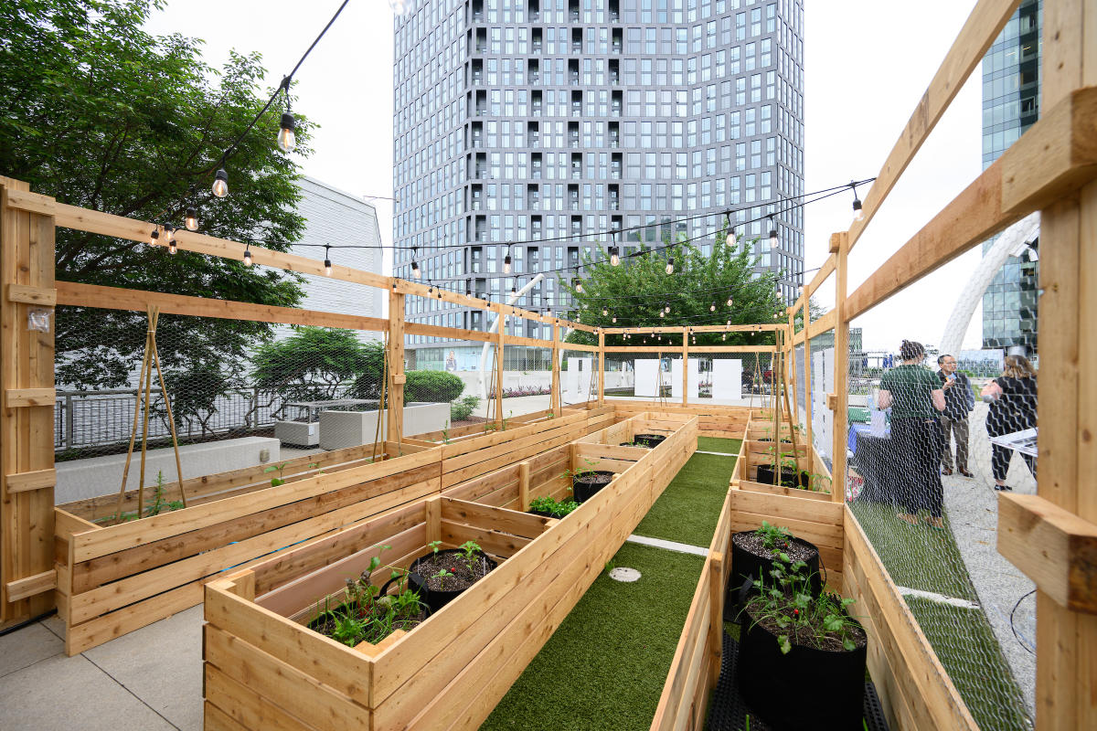 The Giving Garden - an urban farm located on the Plaza at Tysons Corner Center