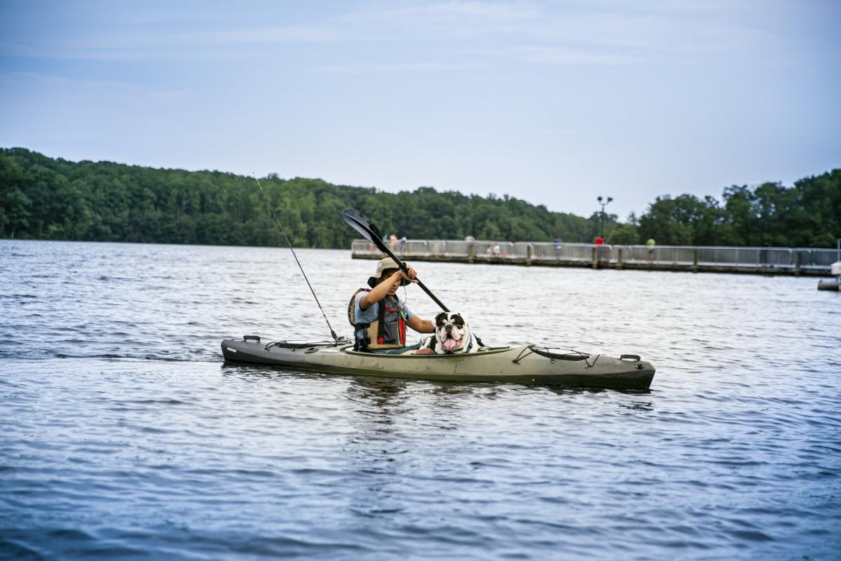 Dog at Burke Lake - OBVFX - April Greer