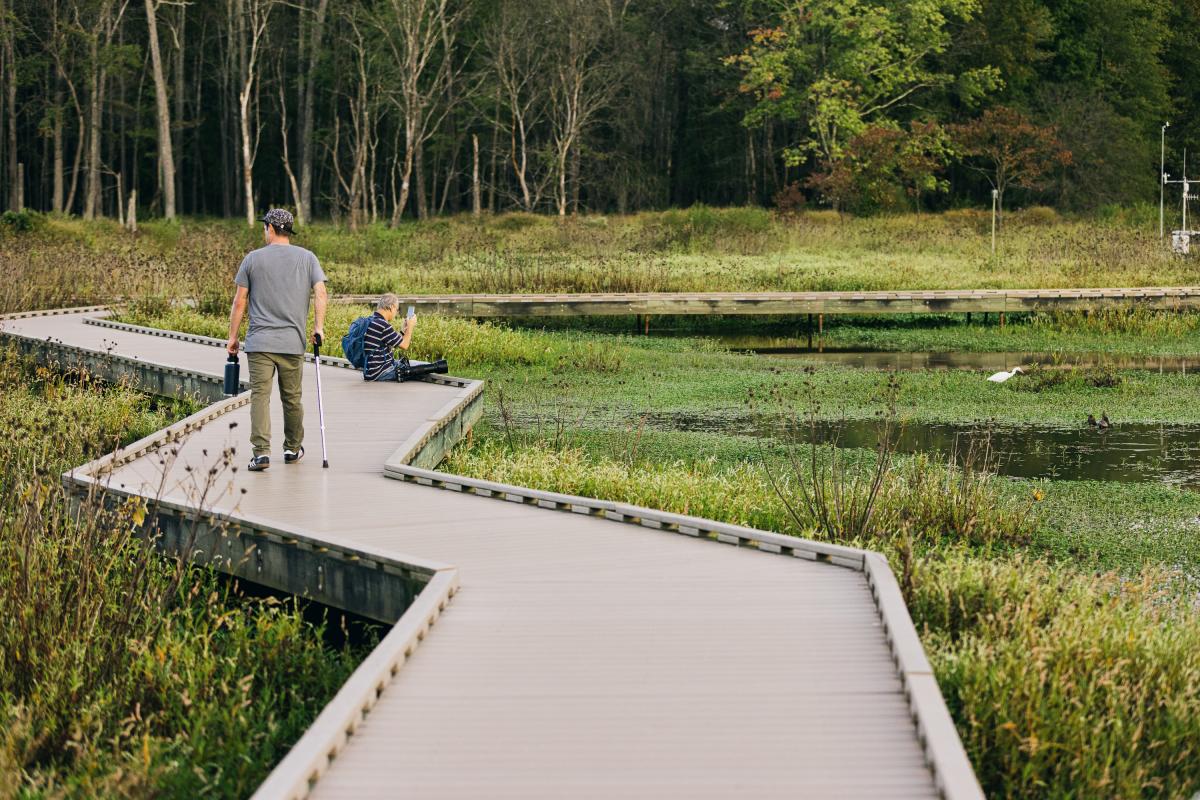 Boardwalk with a man walking on it and a photographer taking photos of wildlife.