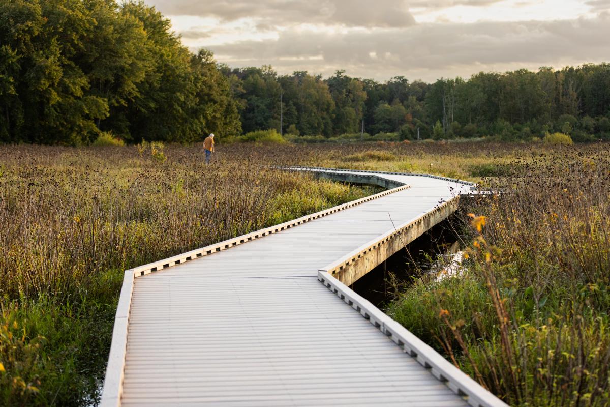 Huntley Meadow Park - Boardwalk - Sunset