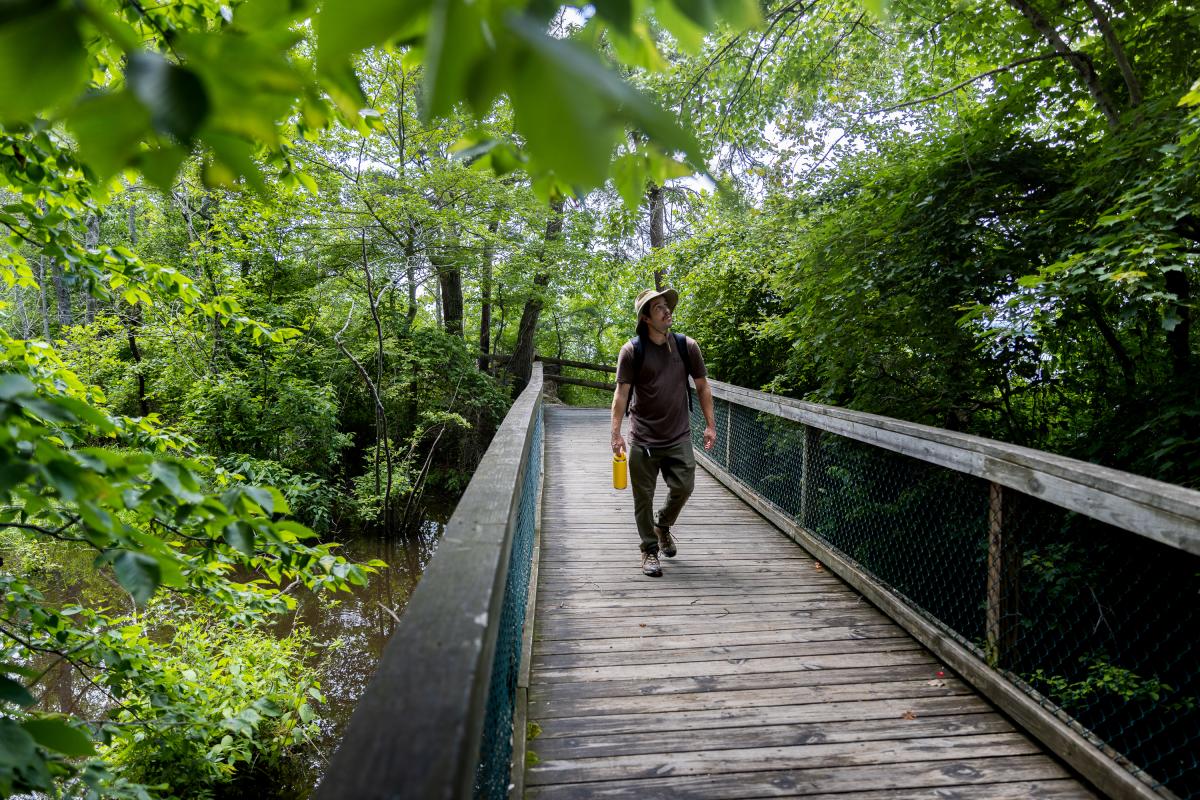 Mason Neck State Park