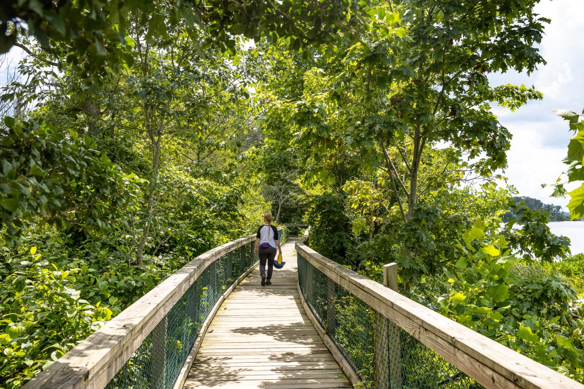 Mason Neck State Park - Hiking- Summer