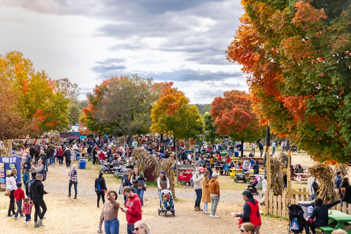 Cox Farms - Crowd - Aerial - Centreville - Families