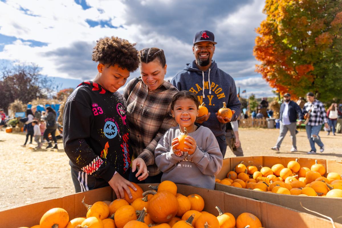 Family - Cox Farm - Pumpkins - Family Activity - April Greer