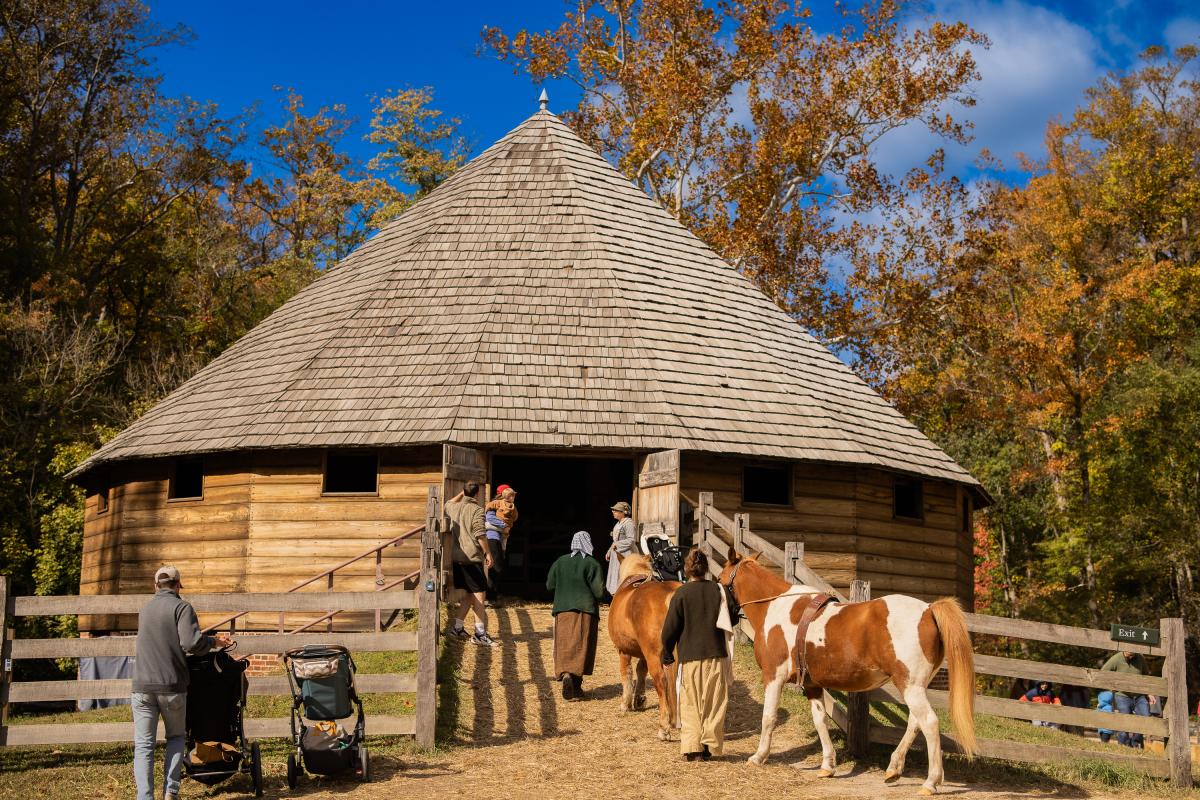 Horses being taken into the 16-Sided Barn at Mount Vernon