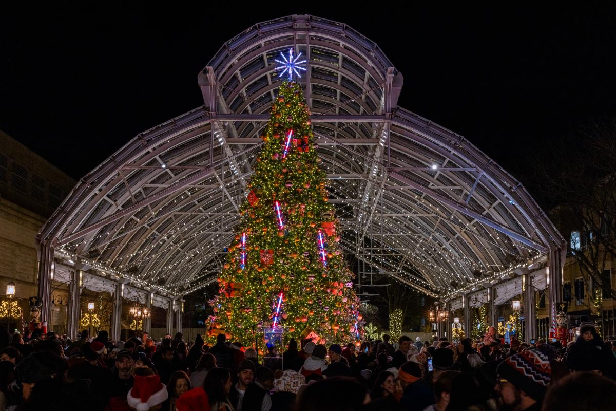 Christmas Tree in Reston Town Center - Holidays - Tree Lighting Ceremony - 2023