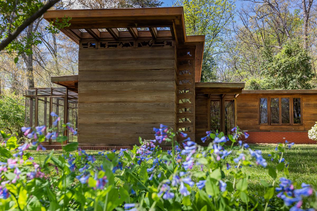 Bluebells infront of Frank Lloyd Wright's Pope-Leighey House