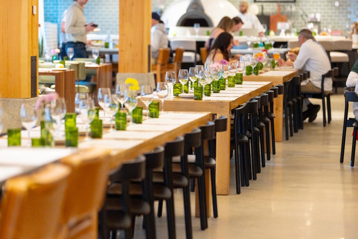 Sixty Vines, AG, OBVFX