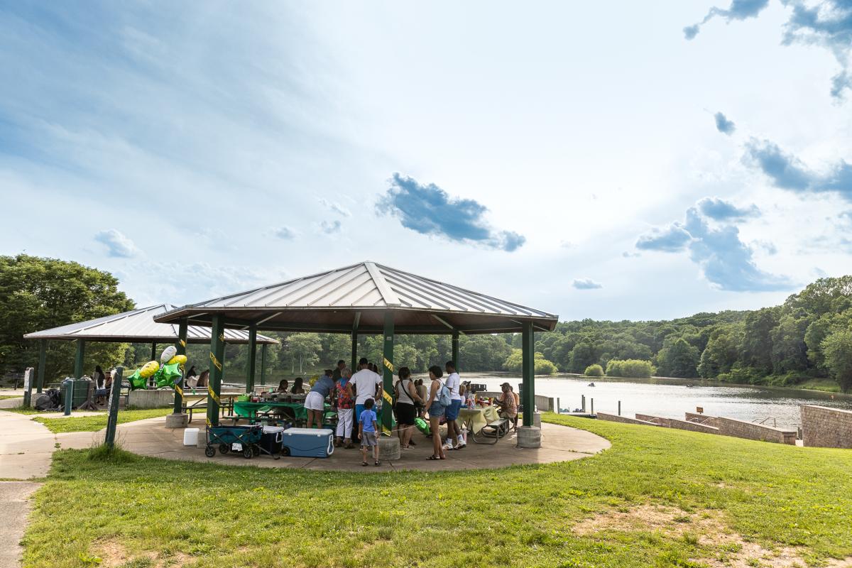Summer Picnic at Lake Fairfax Park