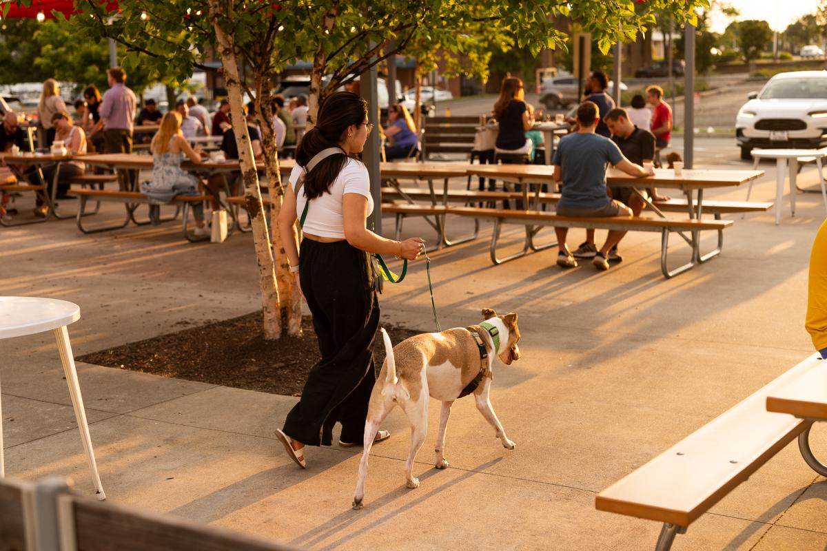 Caboose Commons- Dog