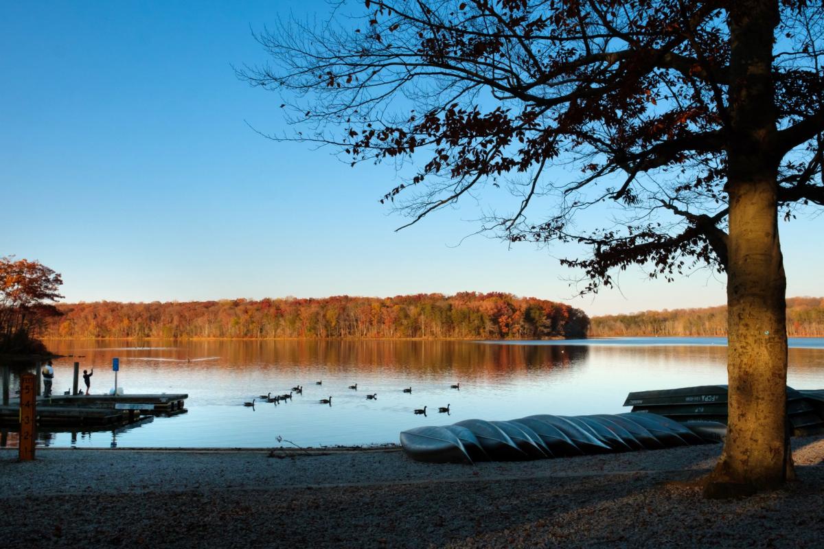 Burke Lake - Fall