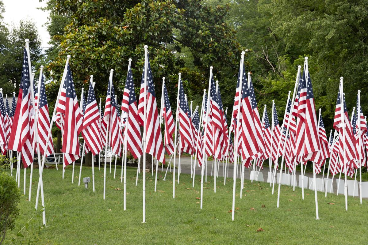 Cedar Knoll - Multiple American Flags in the Ground - OBVFX - AG.jpg