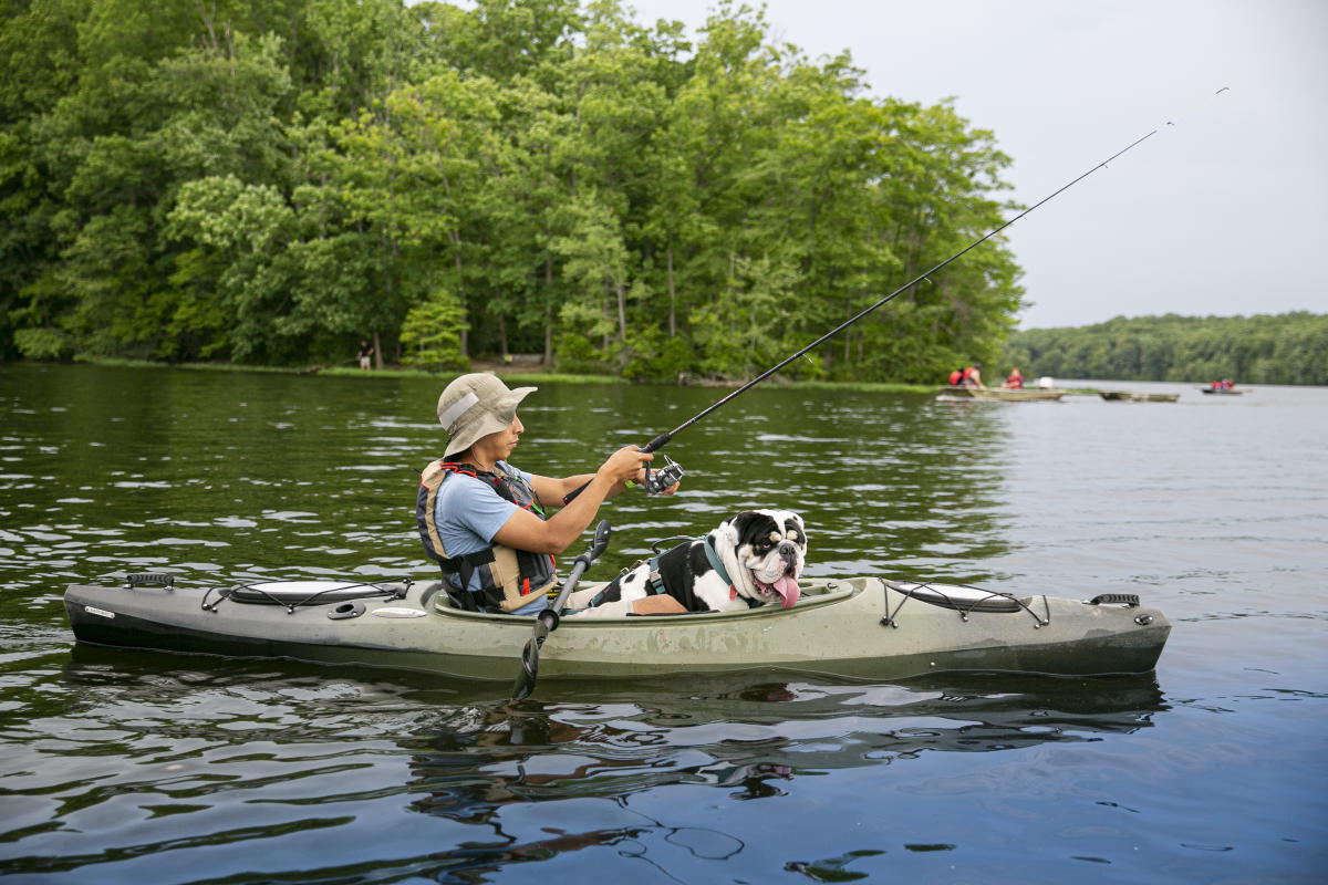 Burke Lake- Dog