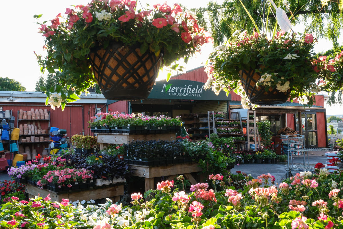 Merrifield Garden Center - OBVFX - Charlotte Geary