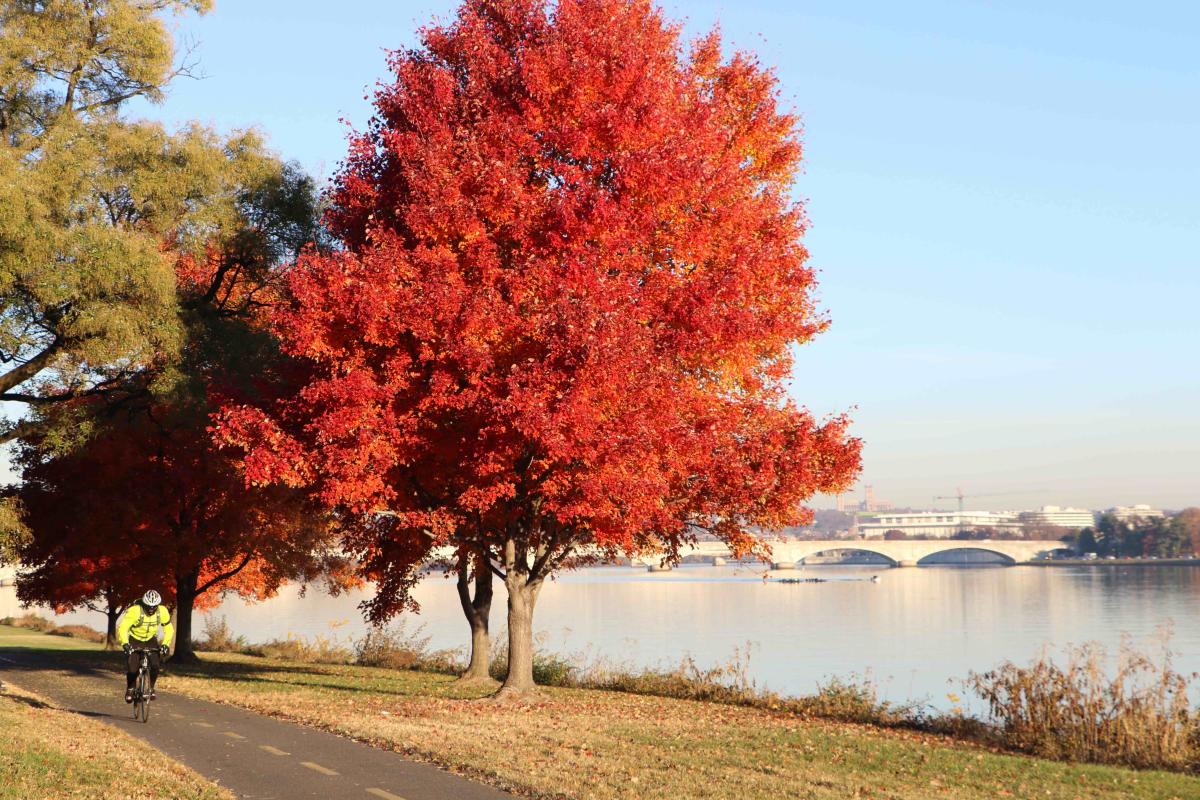 Mount Vernon Trail - Along the GW Memorial Parkway