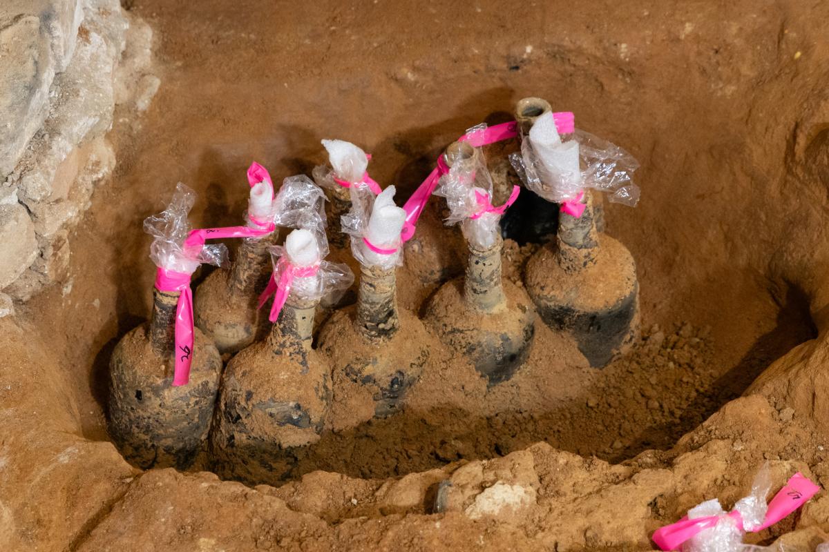 Cherry Bottle Discovery at George Washington's Mount Vernon